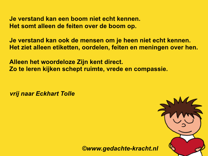 Zonder Verstand Is Schade Voor De Hand
