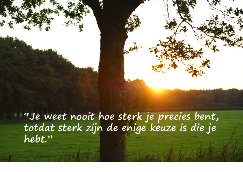 "Je weet nooit hoe sterk je precies bent, totdat sterk zijn de enige - Liedjes Over Sterk Zijn Nederlands
