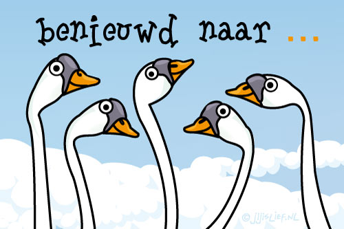 Jij is Lief - kaart: Benieuwd naar - Benieuwd Naar Of Na