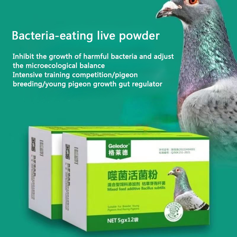 Jonge Duiven, Postduiven, Diarree, Waterige Ontlasting, Groene - Onverteerd Voedsel In Ontlasting Diarree