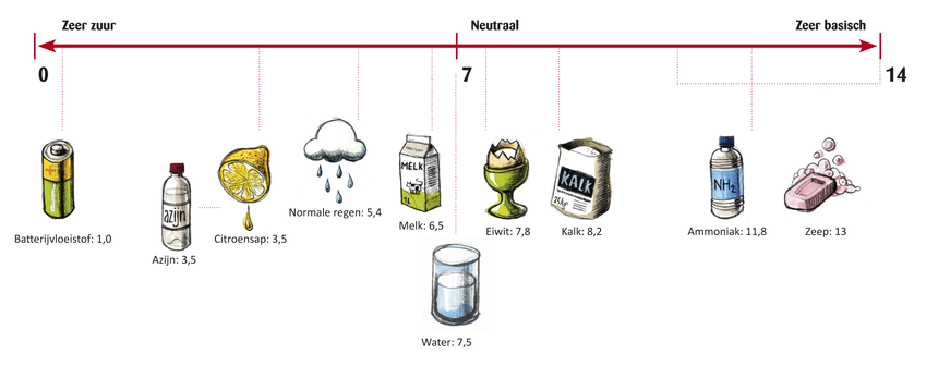 Juiste zuurtegraad - Micro-organismen - Hoog Tempo Bij Een Laag Zuurstofgehalte