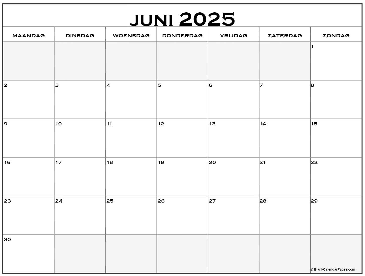 Juni 2025 - Niki Teddie - Is D66 Links Of Rechts