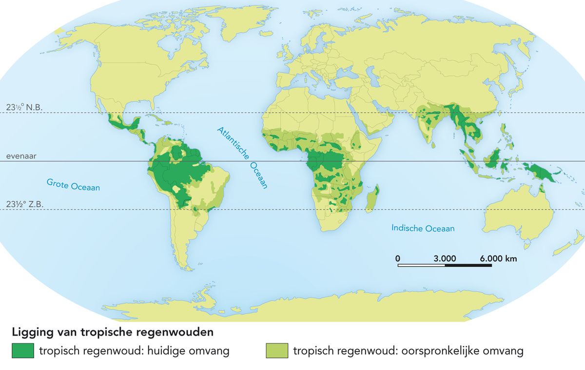 Kaart ligging van tropische regenwouden. | Regenwouden, Tropisch, Oceaan - Waar Groeien Tropische Regenwouden En Waarom Daar
