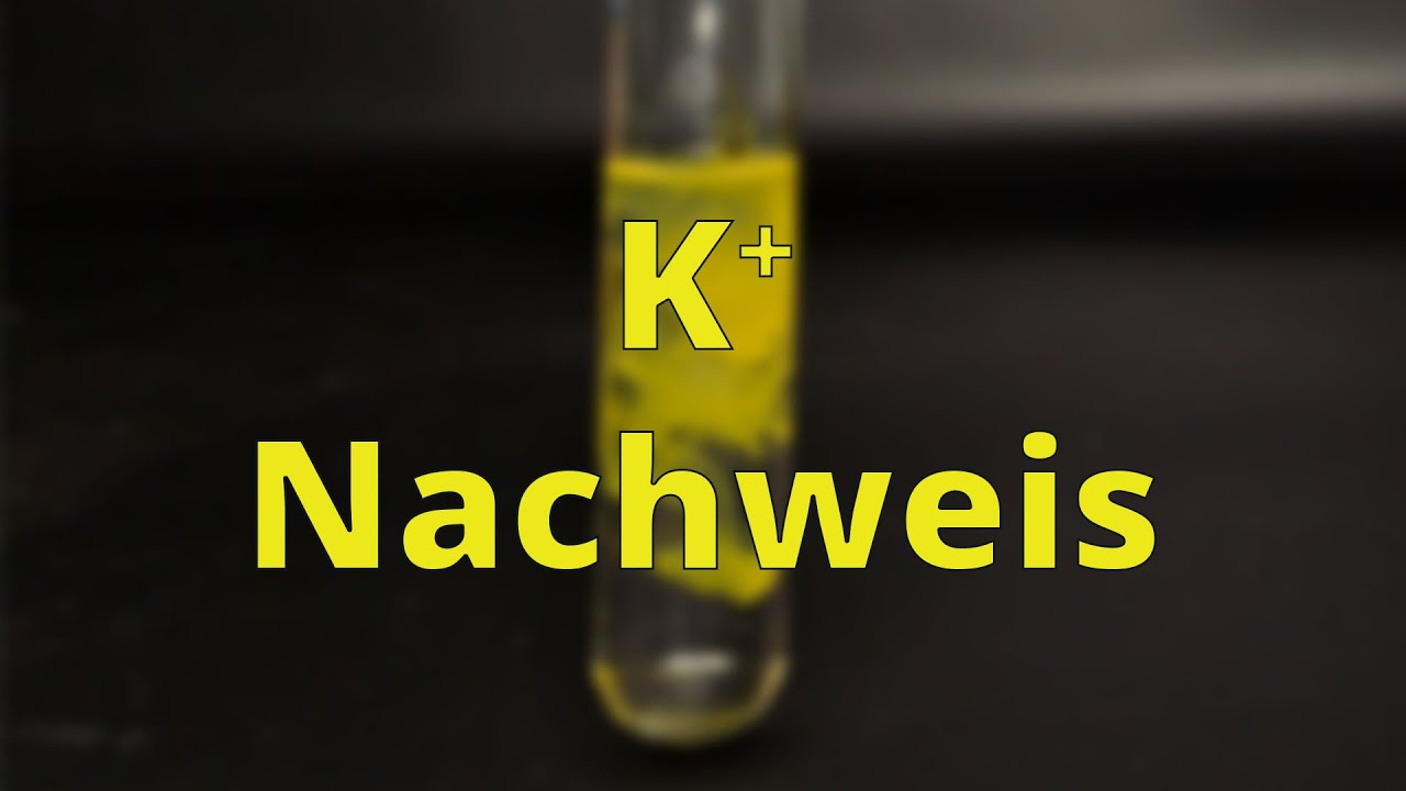 Wat Is Kalium In Het Bloed
