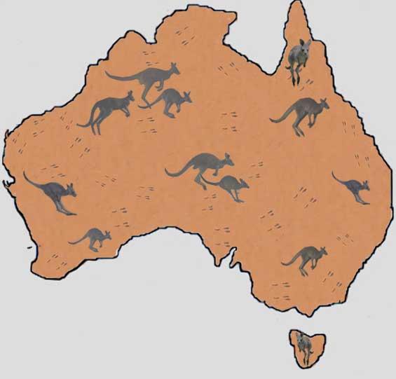 Hoeveel Kangoeroes Leven Er In Australie