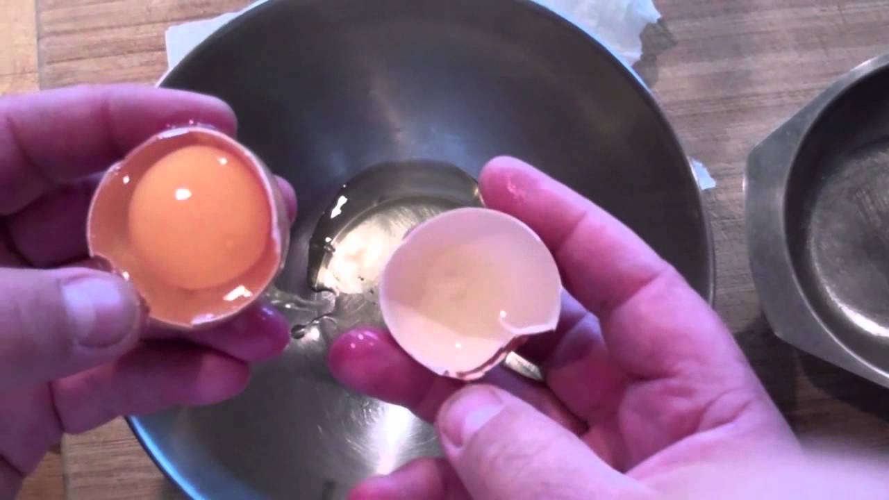 Kennis scheiden van eiwit en eigeel - YouTube - Koppeltje Dat Samen Op De Eieren Zit