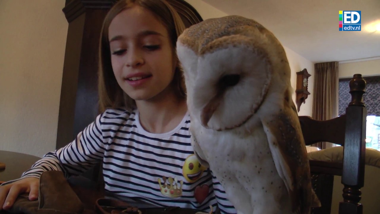Mag Je Een Uil Als Huisdier