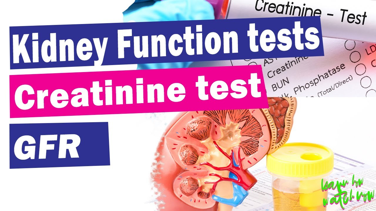 Wat Is Creatinine In Bloedonderzoek