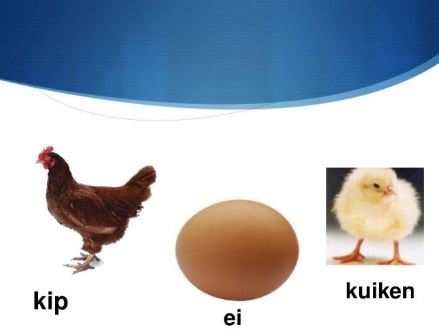 Kip ei - Wanneer Legt De Koekoek Een Ei