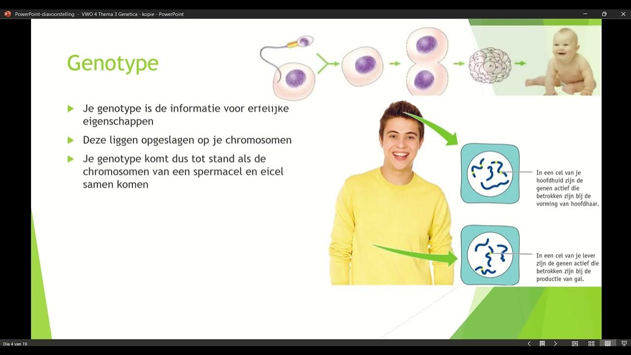 Klas 4 VWO Thema 3 Genetica Basisstof 1 Fenotype & Genotype deel 1 - Antwoorden Biologie Voor Jou Vwo 4 Thema 3 Genetica