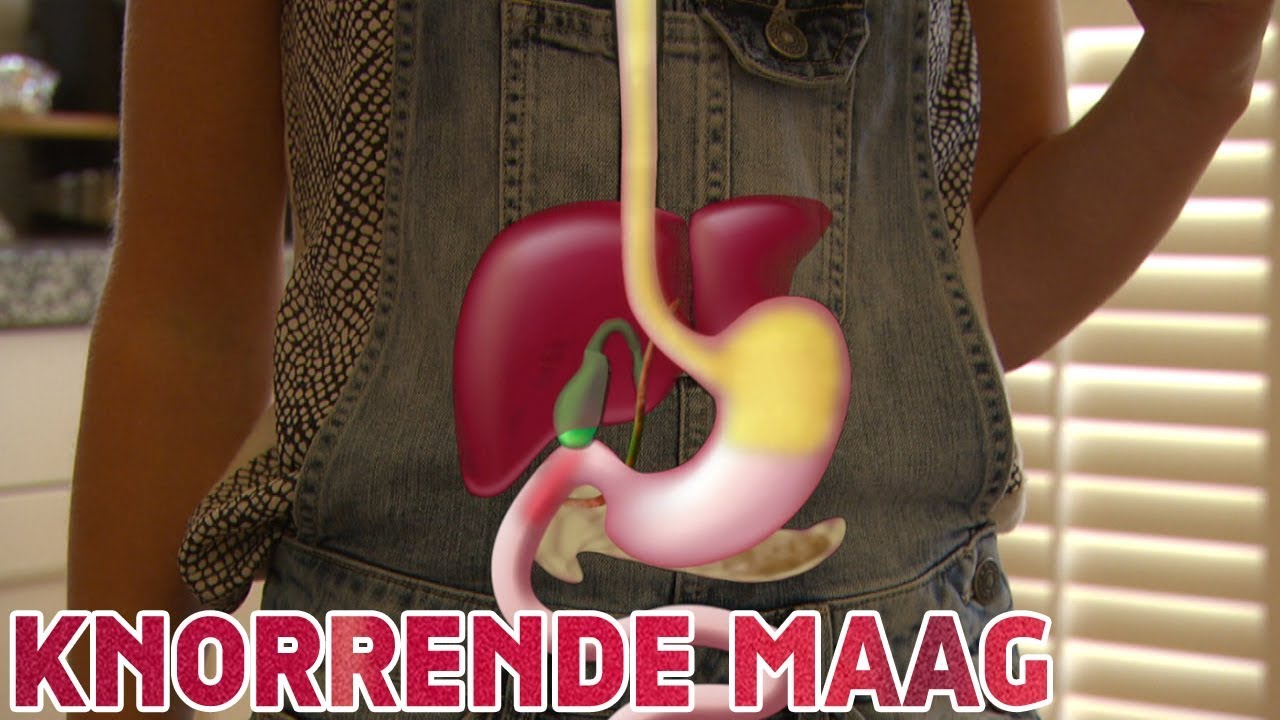 Knorrende geluiden komen uit je maag - Stemronde - Studio Snugger - YouTube - Pijn In Maag En Rug Na Eten