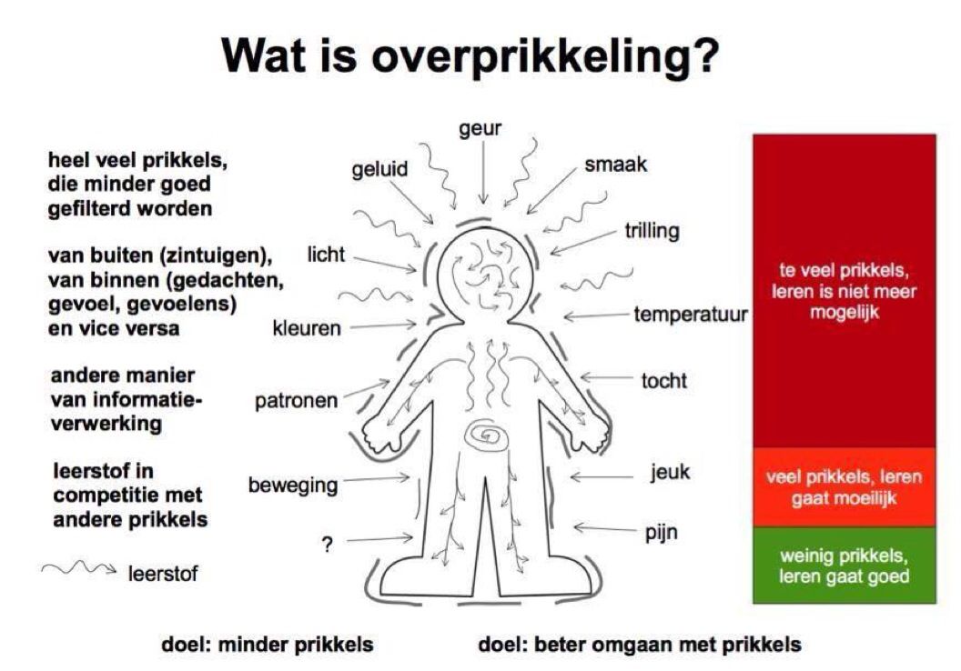 Koekie autisme poster verkrijgbaar in a3 poster en a6 uitdeelkaarten - Hoe Herken Je Autisme Bij Een Kind