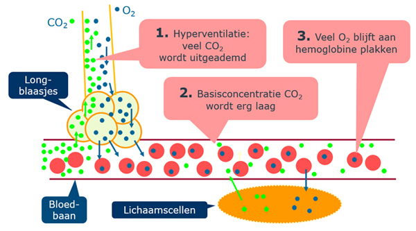 Te Veel Koolzuur In Bloed Symptomen
