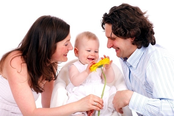 Familie De Heus Geschat Vermogen