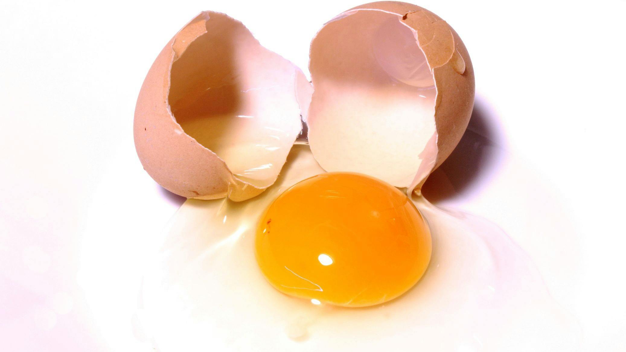 Kostenloses Foto zum Thema: ei, eier, essen - Ei Koken Voor Eitje Tik