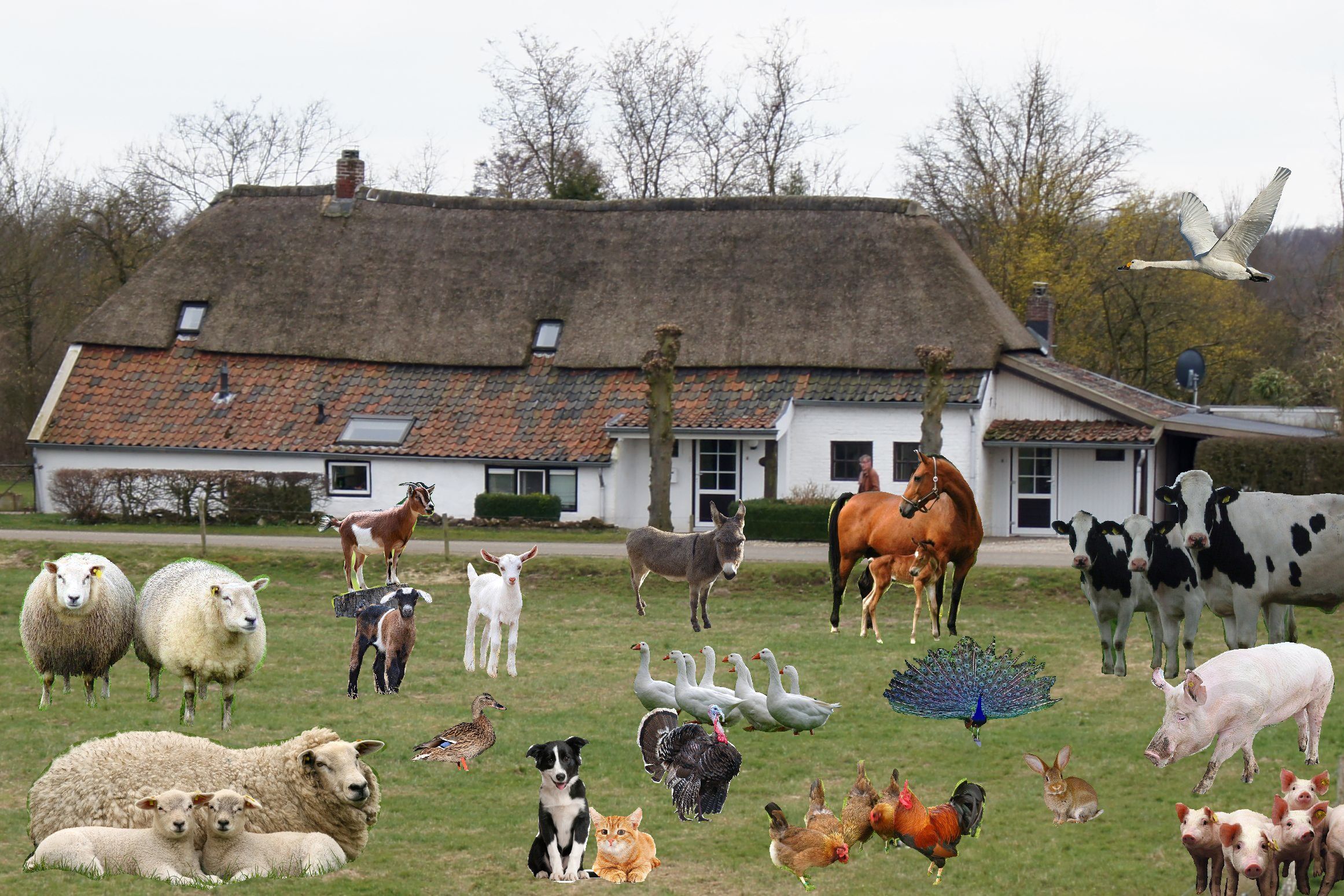 Boerderij Te Koop In Canada