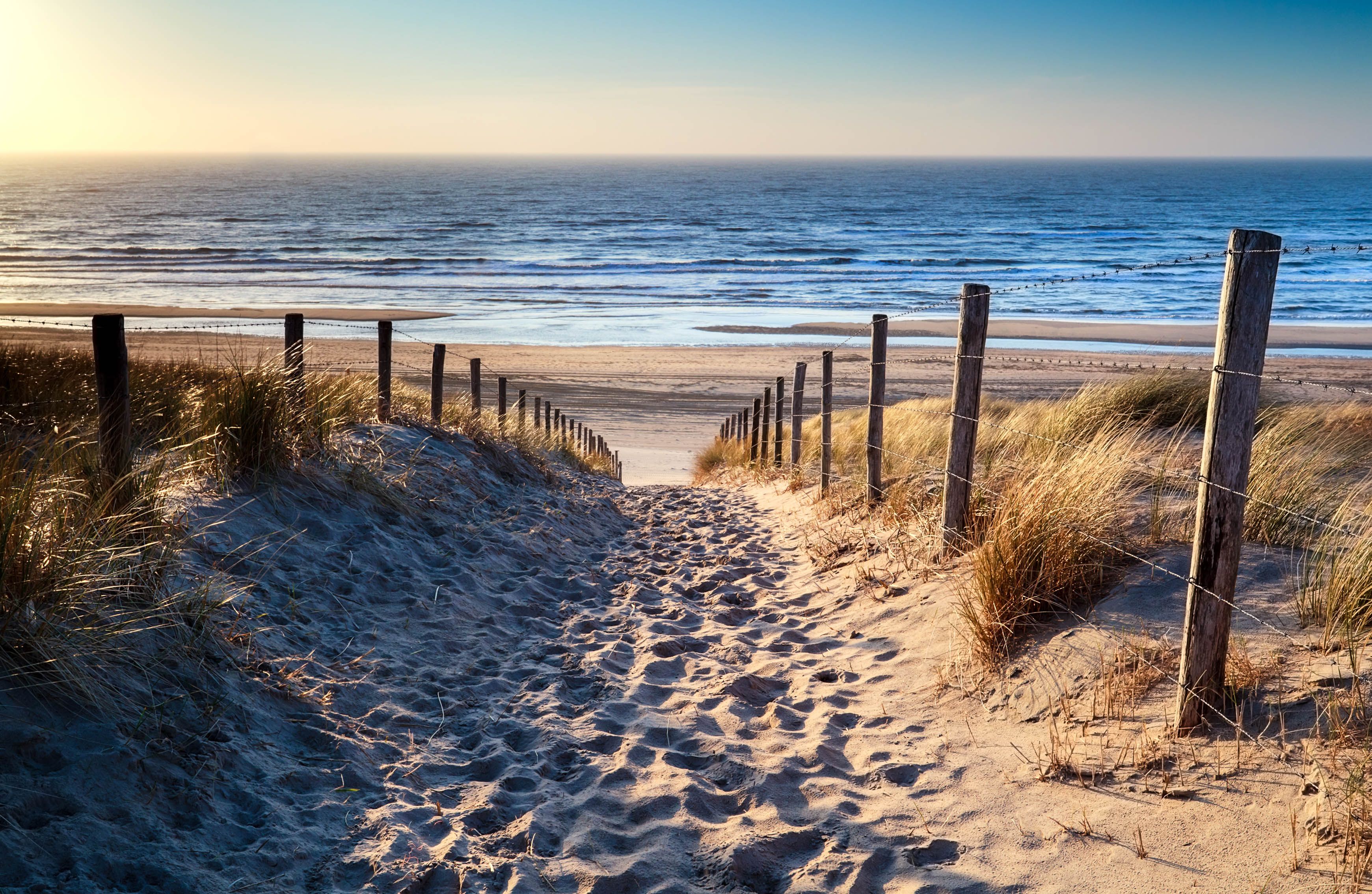 Spoedig Meer Nu In Haast