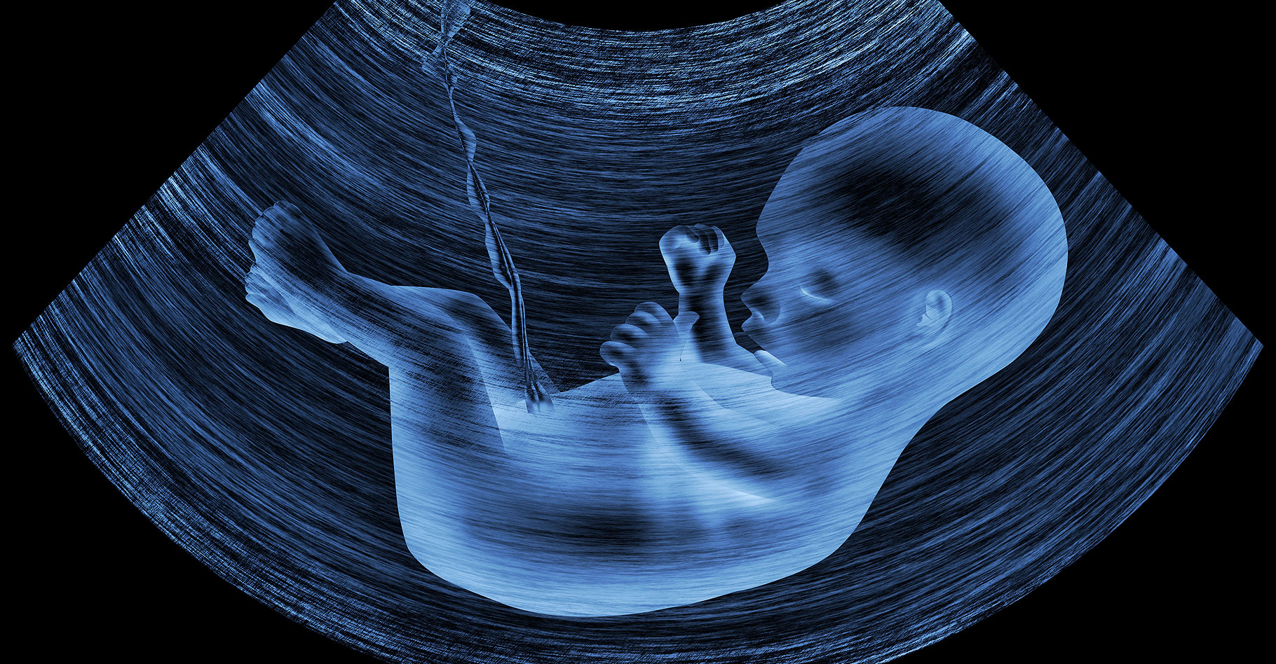 La grossesse mois par mois | Dossier - Hoe Gaat Een Abortus Bij 24 Weken