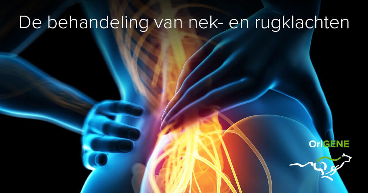 Welke Symptomen Bij Rugklachten Zijn Alarmsignalen