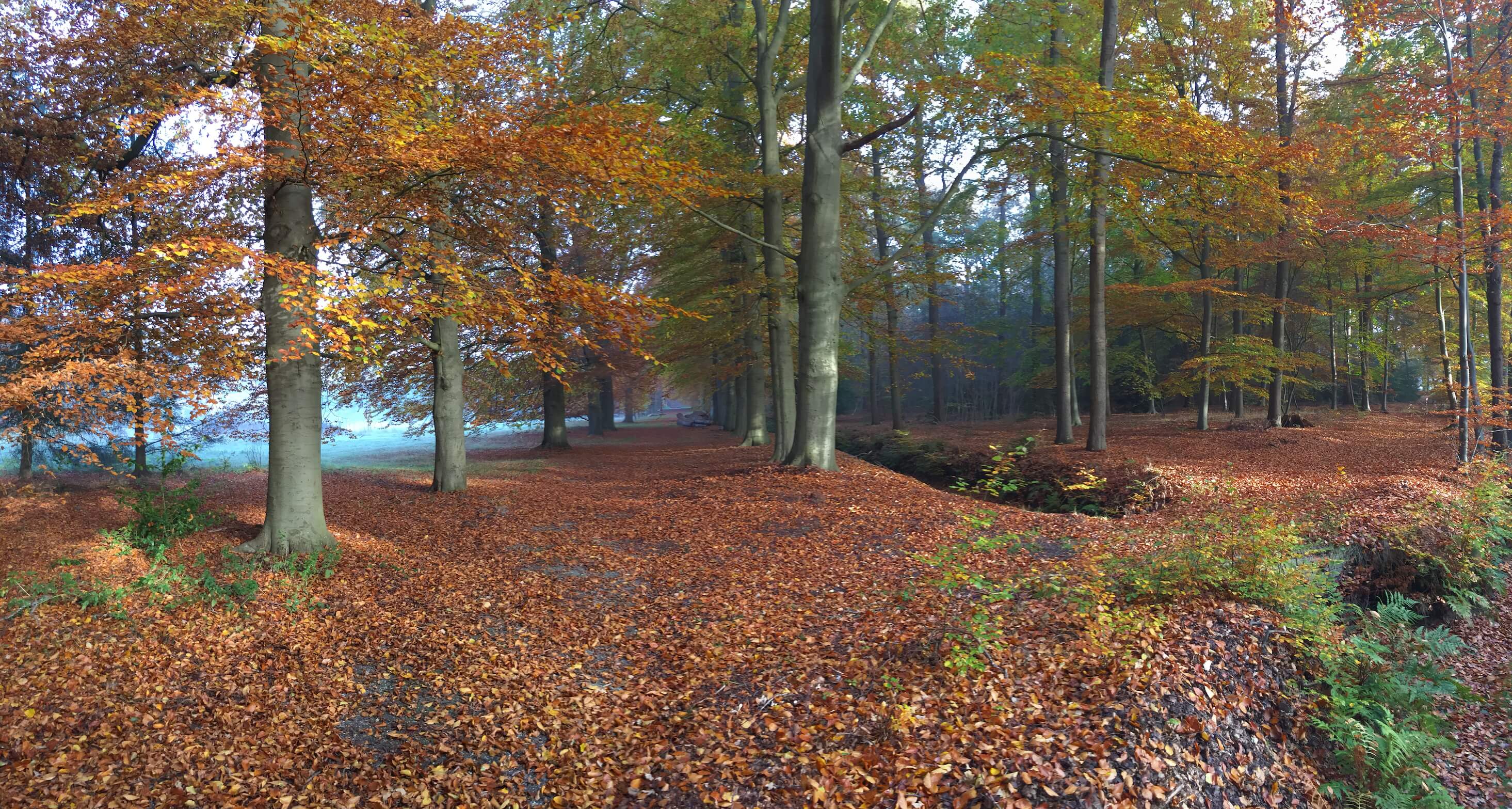 Het Weer Lage Vuursche