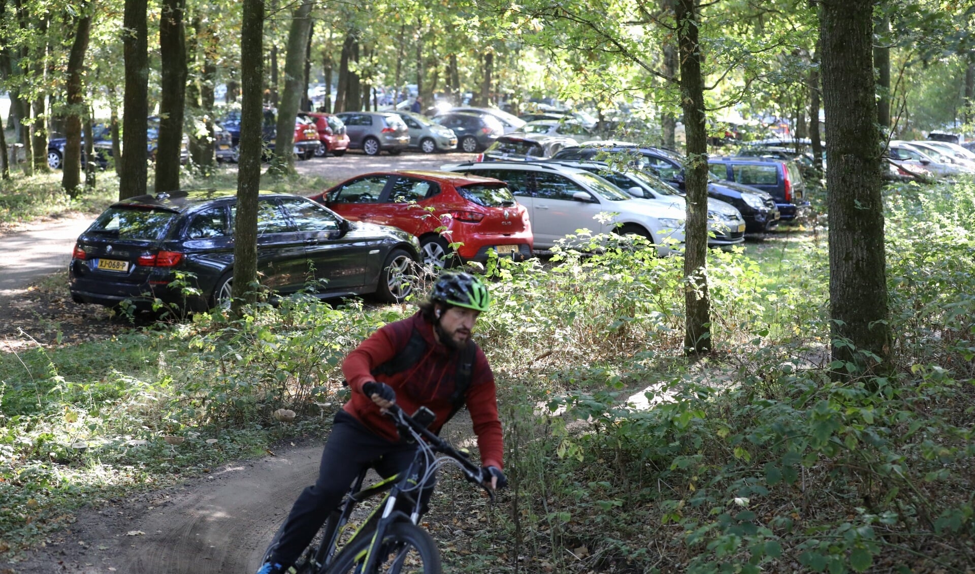Lage Vuursche weer bomvol met mooie herfstweer - BaarnscheCourant.nl - Het Weer Lage Vuursche