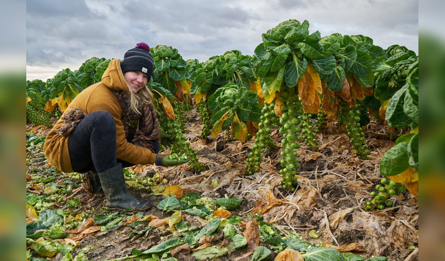 Lancering kookboek ‘Koken op een eiland van klei’ - Adverteren Hoeksche - Koken Op Een Eiland Van Klei