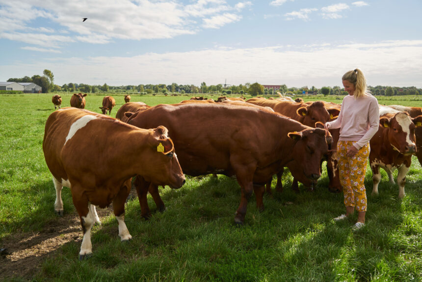 Lancering kookboek ‘Koken op een eiland van klei’ - Hoeksche Waard Nieuws - Koken Op Een Eiland Van Klei