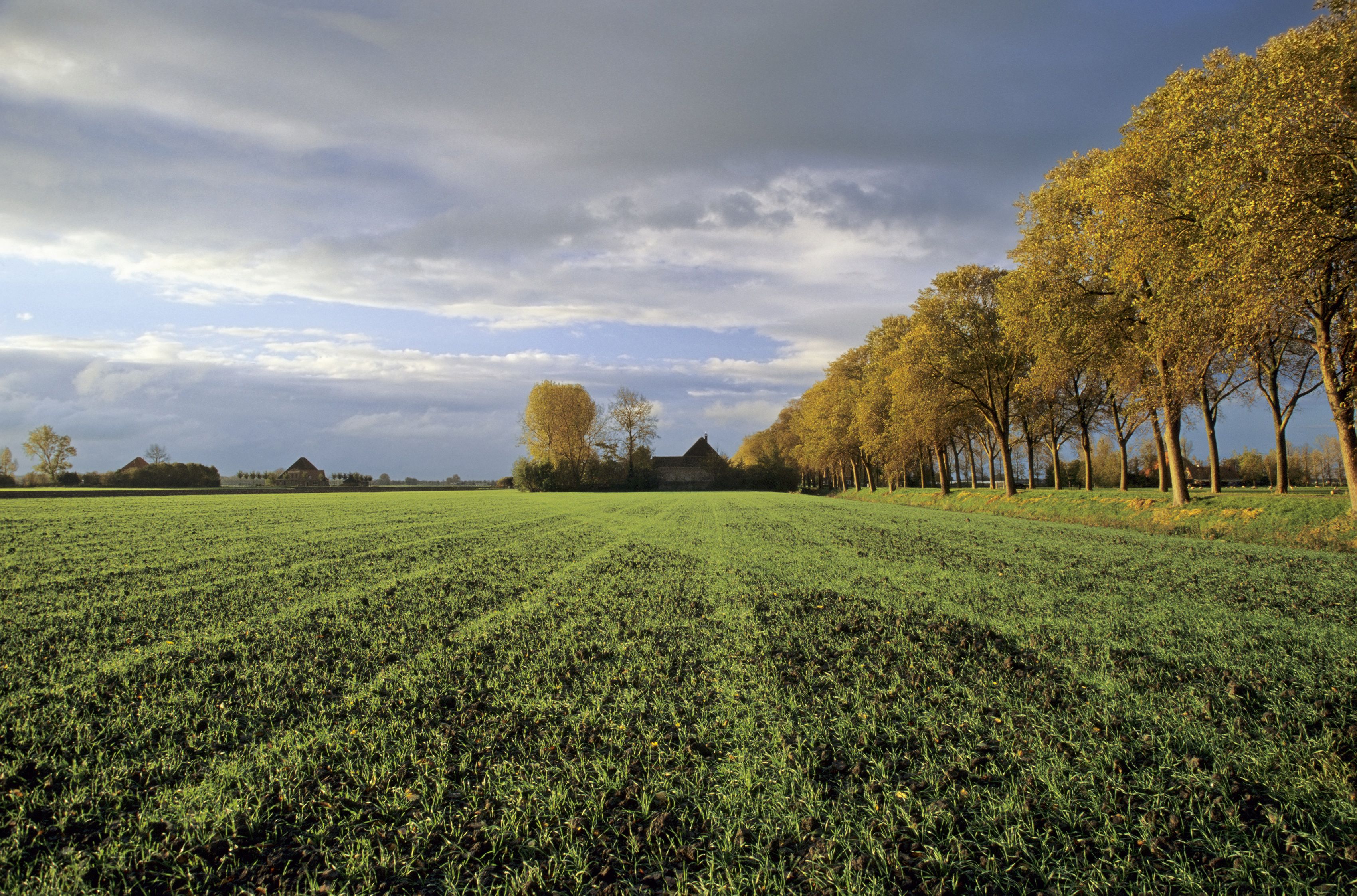 Land Met De Oudste Universiteit Ter Wereld
