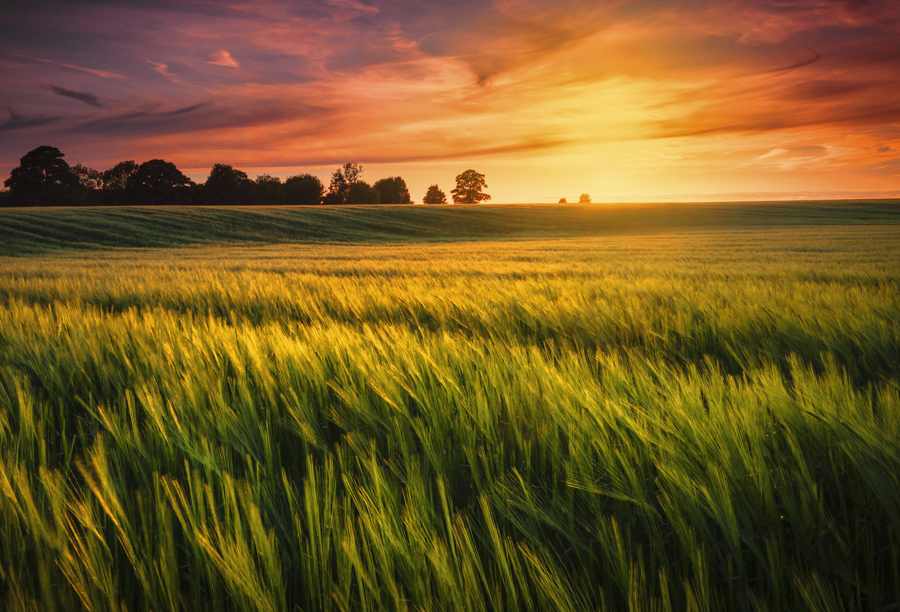 Land for Sale, Vacant Land, Farms and Ranches - Land City - Land Met De Oudste Universiteit Ter Wereld