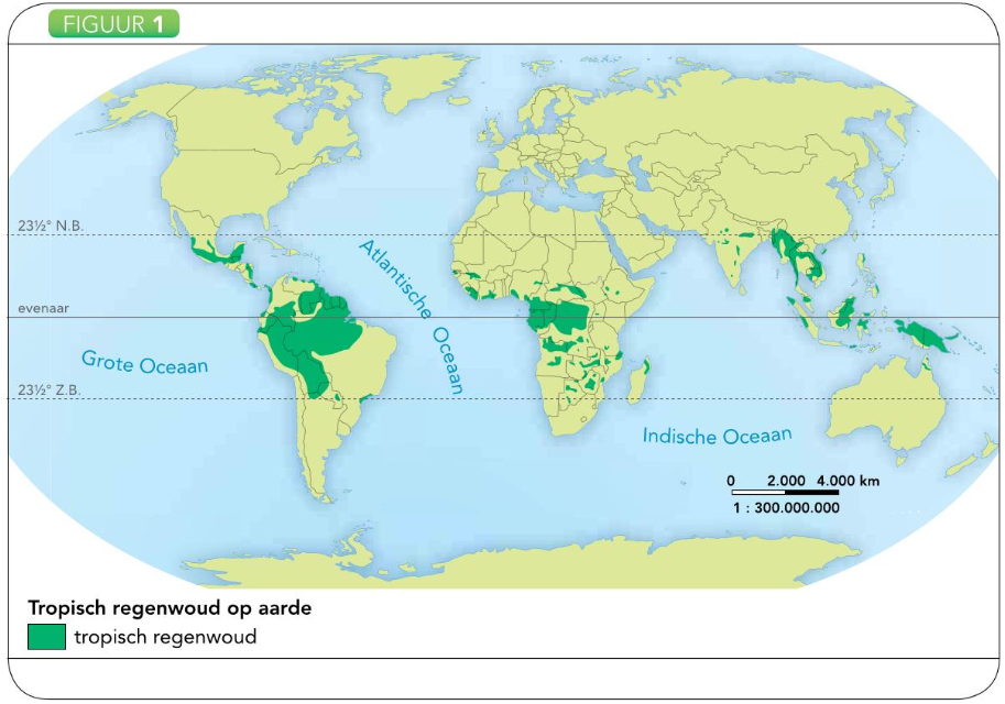Landschappen in Afrika - Wikiwijs Maken - Kenmerken Van Het Tropisch Regenwoud