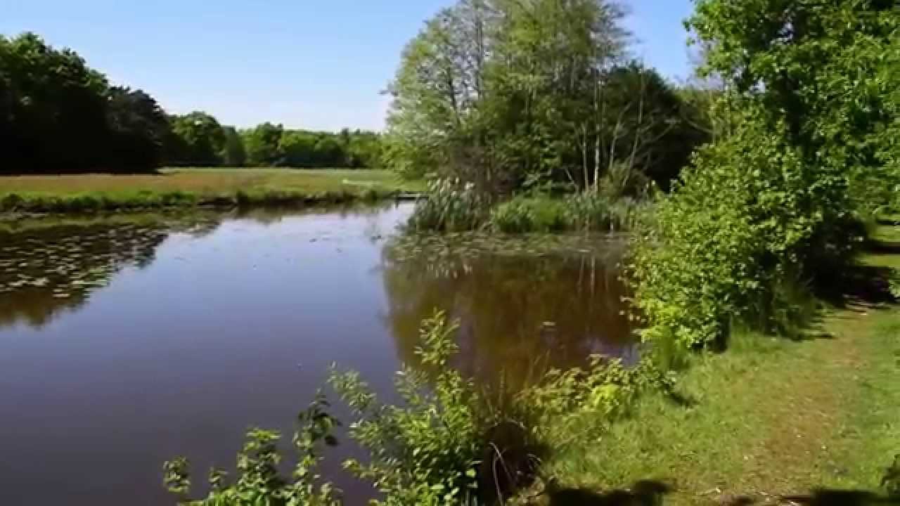 Langs de ruiten Aa bij Sellingen - YouTube - Wonderwereld Ruiten A Kanaal Noord Ter Apel