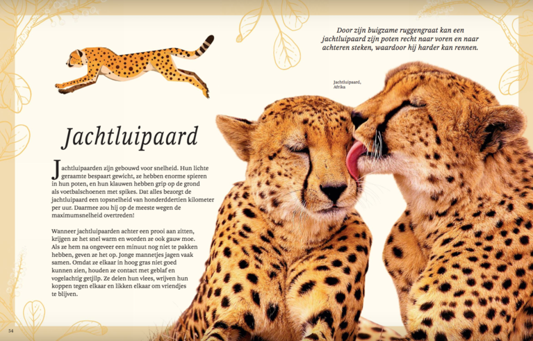 Lannoo Het Dikke Boek Van Alle Bijzondere Dieren - mini moon - Het Dikke Boek Van Alle Bijzondere Dieren