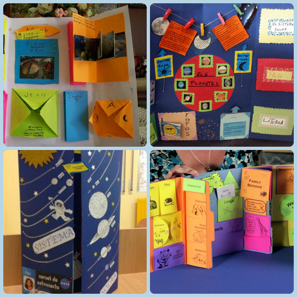 Lapbook Maken Over Een Boek