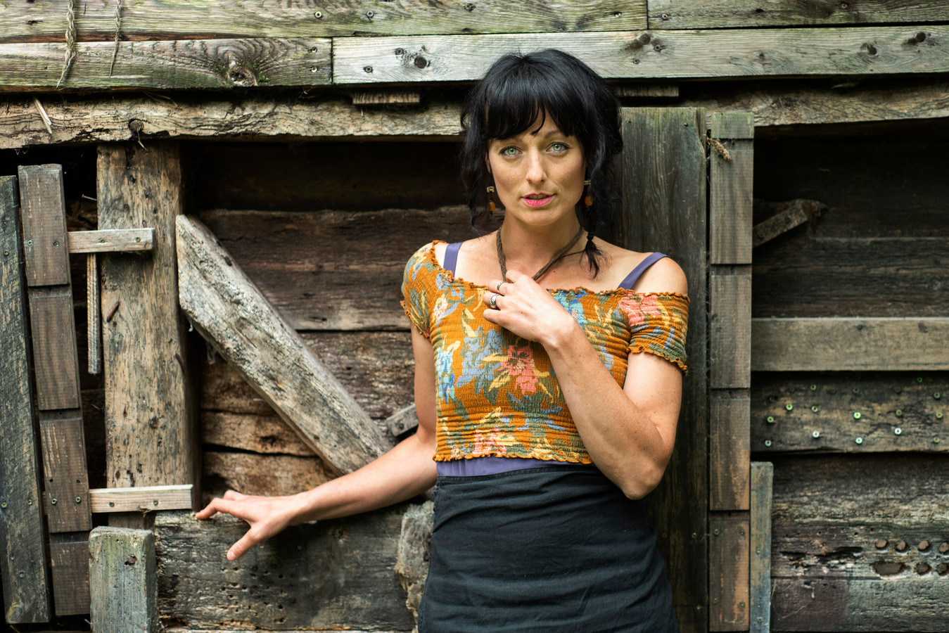 Boek Wolf Van Lara Taveirne