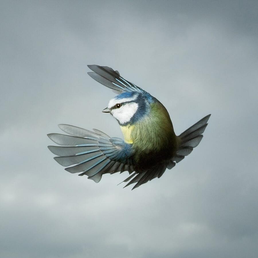 Le migliori fotografie del 2020 (62 immagini) - Foto's Van M & X Happyshop