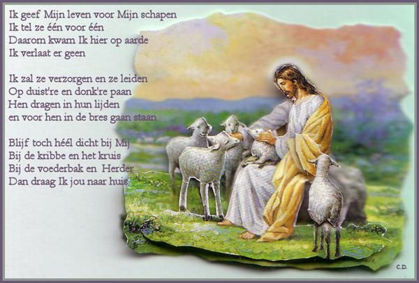 Leef je geloof: Jezus is de Goede Herder - Jezus Is De Goede Herder