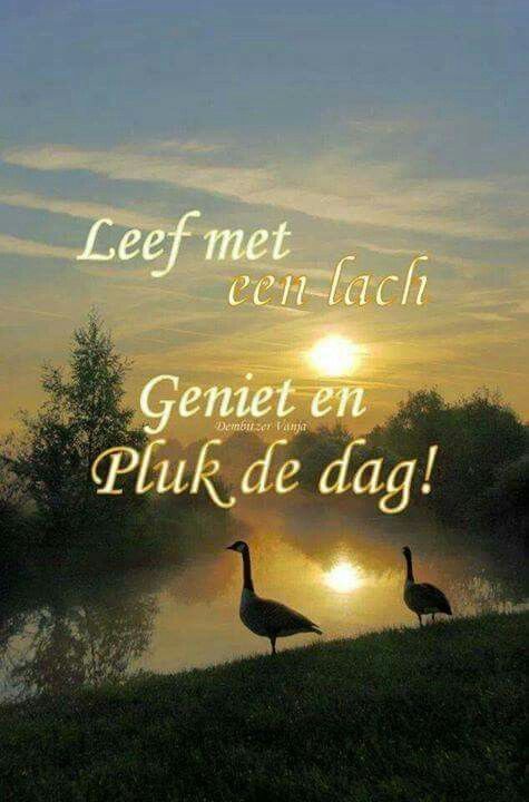 Leef......geniet....... | Levenscitaten, Ware woorden, Goedemorgen grappig - Pluk De Dag En Geniet