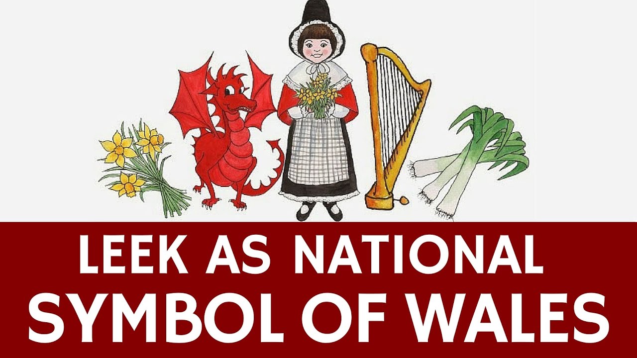 Welke Groente Is Het Nationale Symbool Van Wales