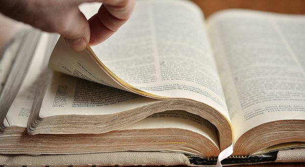 Lees Je Bijbel Bid Elke Dag