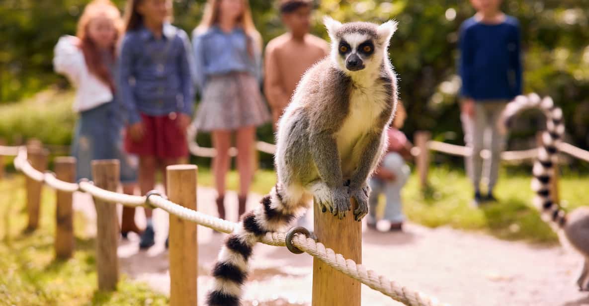 Leewarden: AquaZoo Entry Ticket | GetYourGuide - Aquazoo Friesland De Groene Ster Leeuwarden