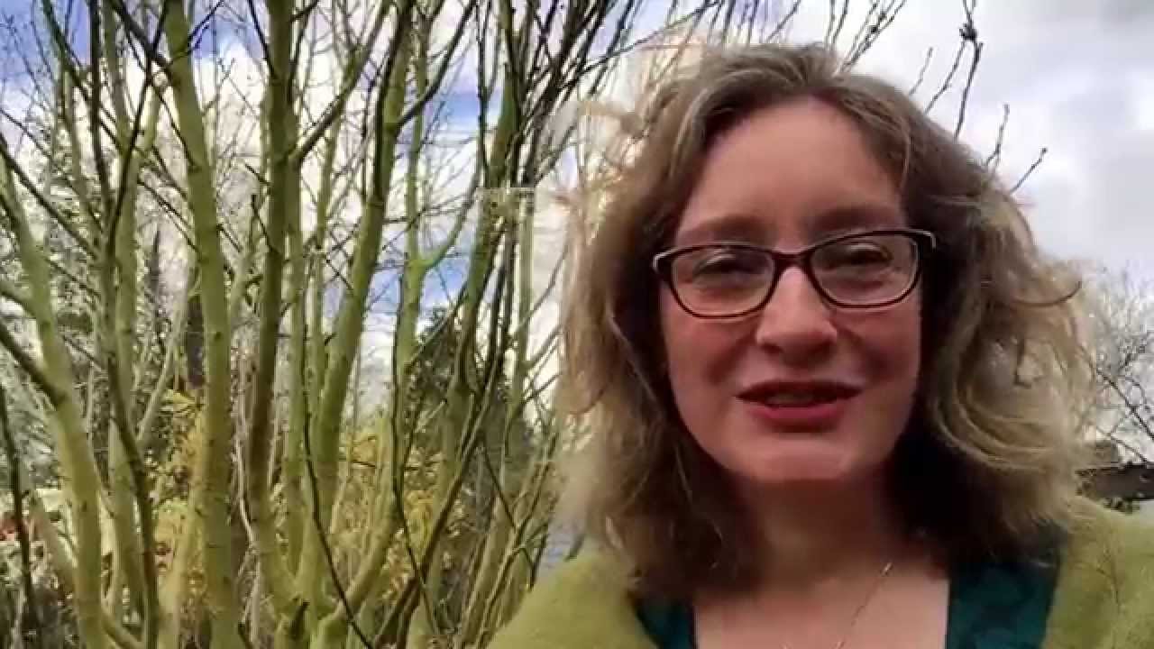 Leiden of lijden - YouTube - Lijden Tot Of Leiden Tot