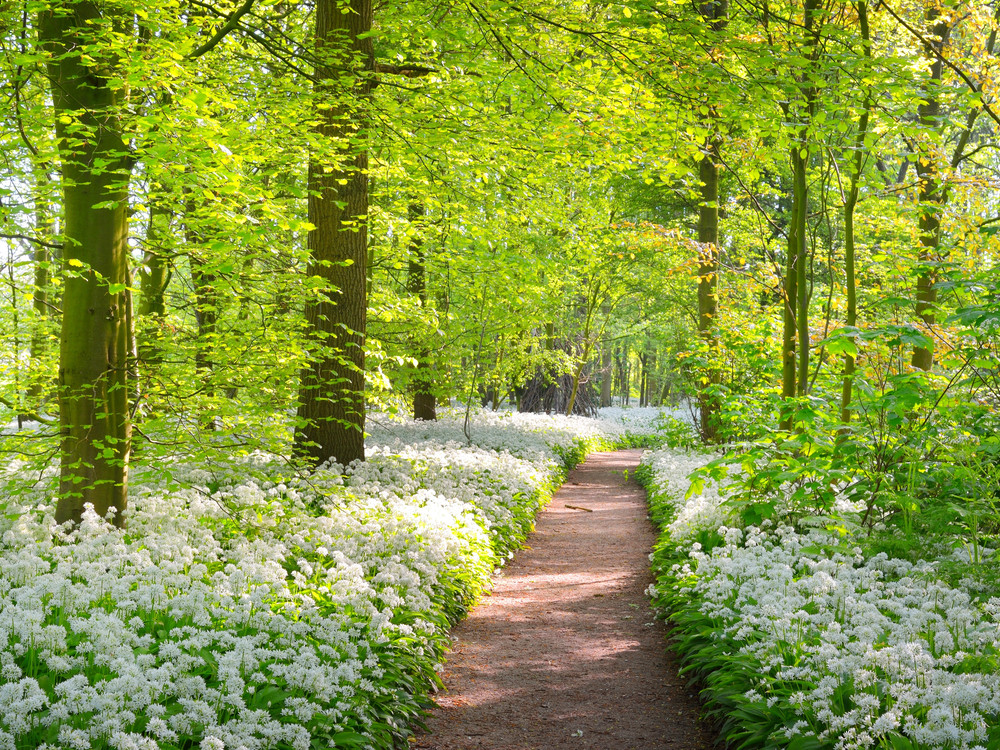 Lente - CharneRylan - Welke Datum Is Het Lente