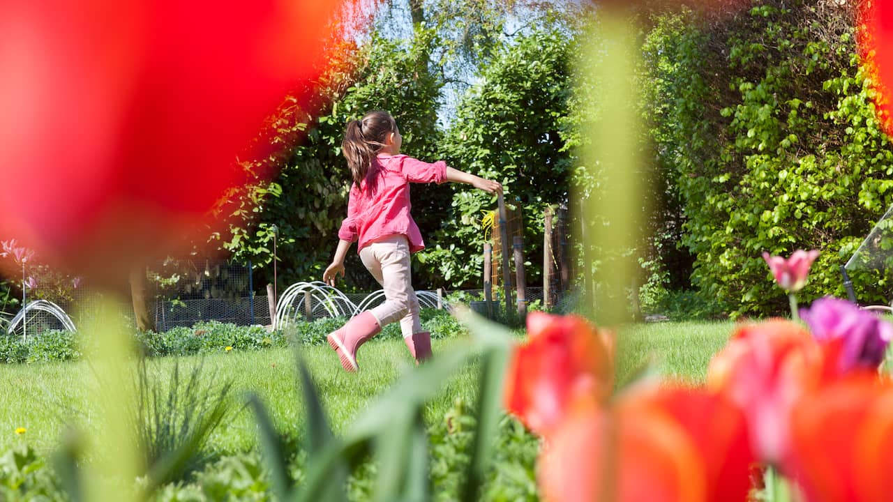 Lente - CharneRylan - Wanneer Begint De Lente In 2024