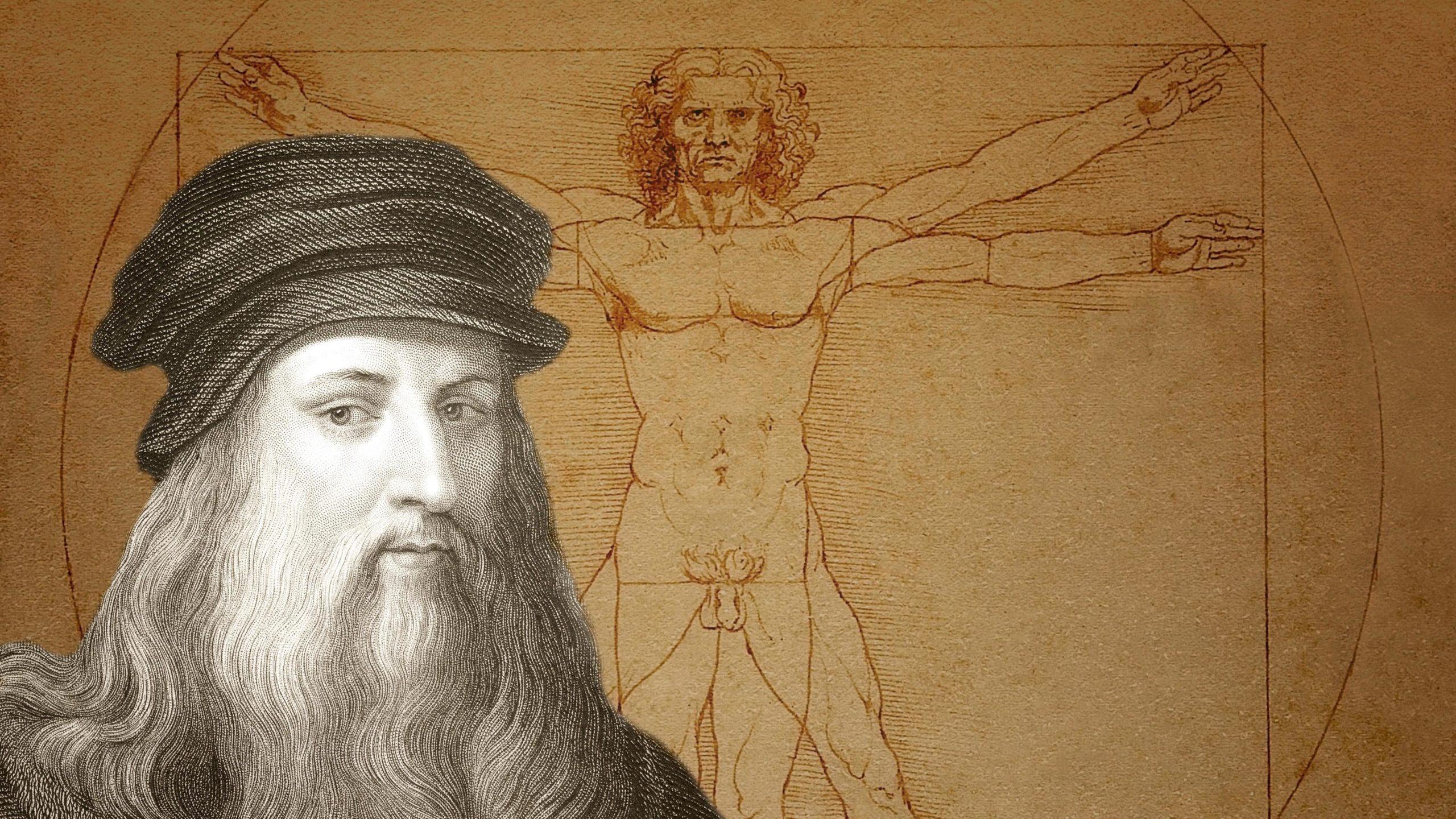 Leonardo Da Vinci - vrogue.co - Waar Is Leonardo Da Vinci Geboren