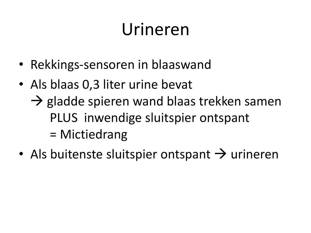 Les 2.7 Urinewegen . - ppt download - Hoeveel Urine Mag Er In De Blaas Achterblijven