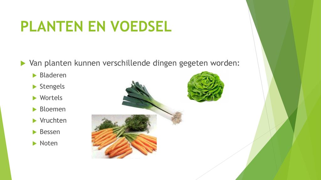 Welke Zes Delen Van Planten Worden Door Mensen Gegeten