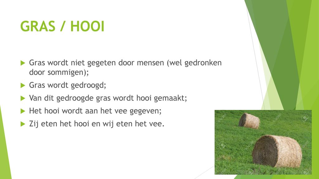 LES 9 – PLANTEN ALS VOEDSEL - ppt download - Welke Zes Delen Van Planten Worden Door Mensen Gegeten