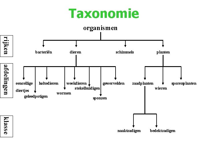 In Welke Twee Hoofdgroepen Worden Organismen Ingedeeld