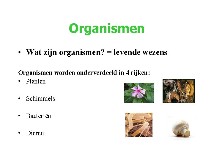Leskaart indelen van organismen Organismen Wat zijn organismen - In Welke Twee Hoofdgroepen Worden Organismen Ingedeeld