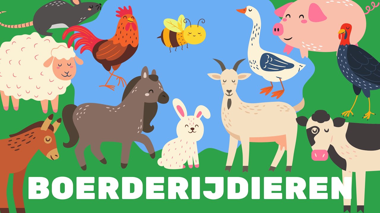 🐮 Leuke Boerderijdieren Flitskaarten voor Kinderen | Leer Fundamentele - Dieren Beginnend Met Een N